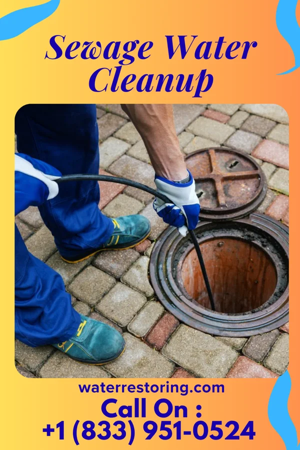 Sewage Water Cleanup in Elk Falls, KS